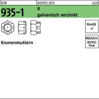 Kronenmutter DIN 935-1 M10 SW 17 8 galv.verz. 100 St&uuml;ck