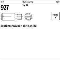 Zapfenschraube DIN 927 Schlitz M3x 4 14 H 100 St&uuml;ck