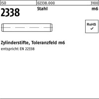 Zylinderstift ISO 2338 30 m6x 120 Stahl 10 St&uuml;ck