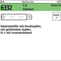 Gewindestift DIN 6332 FormIS Zapfen/Innen-6kt IS M6x35...