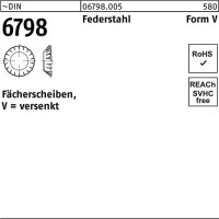 F&auml;cherscheibe DIN 6798 FormV versenkt V 5,3...