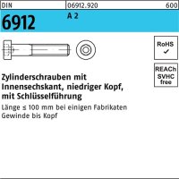 Zylinderschraube DIN 6912 Innen-6kt M10x 30 A 2 100...