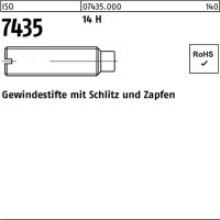 Gewindestift ISO 7435 Schlitz/Zapfen M5x 25 14 H 100...