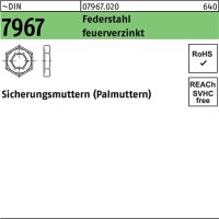 Sicherungsmutter DIN 7967 M48 Federstahl feuerverz. 1...