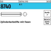 Zylinderkerbstift ISO 8740 Fasen 8x 30 A 1 100 St&uuml;ck
