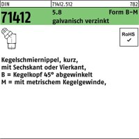 Kegelschmiernippel DIN 71412 FormB-M BM 6x1 SW 9 5.8...