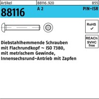 Schraube R 88116 diebstahlhemmend ISR Zapfen M8x 60-T40 A...