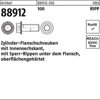 Zylinderflanschschraube R 88912 Sperr-Ripp Innen-6kt M6x 10 100 500 St&uuml;ck