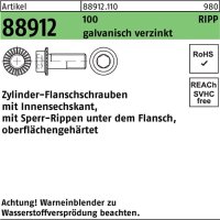 Zylinderflanschschraube R 88912 Sperr-Ripp Innen-6kt M12x50 100 galv.verz. 100St