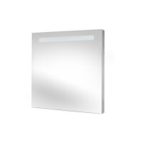 Emuca Pegasus Badezimmerspiegel mit LED-Frontalbeleuchtung 60x70cm