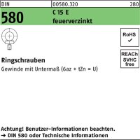 Ringschraube DIN 580 M24 C 15 E feuerverz. 1 St&uuml;ck
