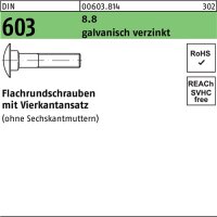 Flachrundschraube DIN 603 Vierkantansatz M10x25 8.8 galv.verz. 200St.
