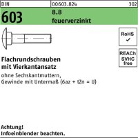Flachrundschraube DIN 603 Vierkantansatz M10x 25 8.8 feuerverz. 100 St&uuml;ck