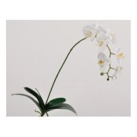 Silk-ka Orchidee 119733 M/BLATT wei&szlig;