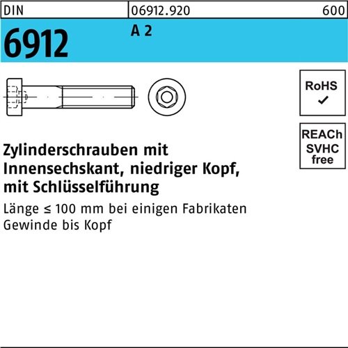 Zylinderschraube DIN 6912 Innen-6kt M10x 100 A 2 50 St&uuml;ck