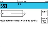 Gewindestift DIN 553 Schlitz/Spitze M6x 8 A1/1.4305 25...